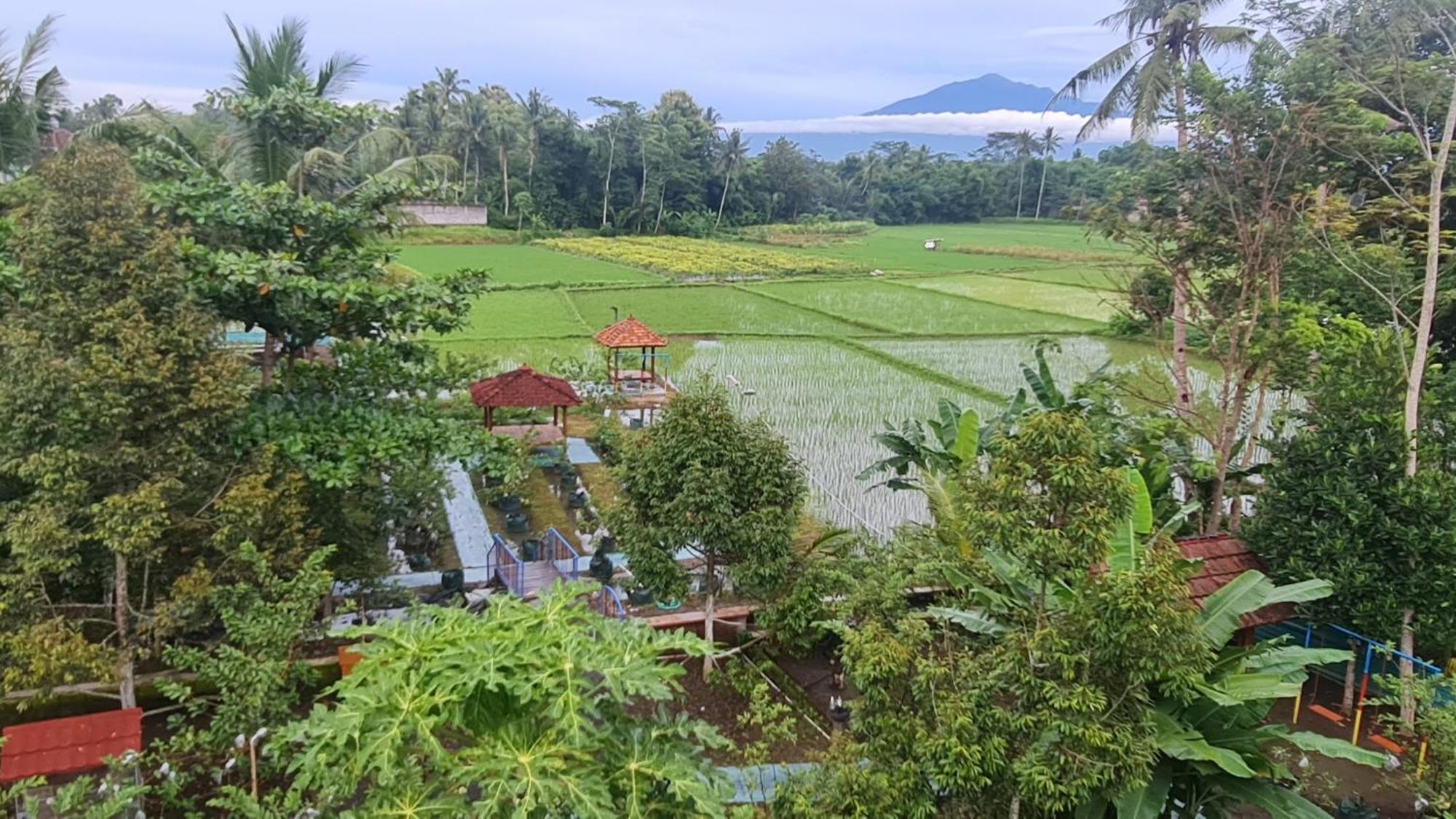 Anugrah Borobudur Magelang Zewnętrze zdjęcie