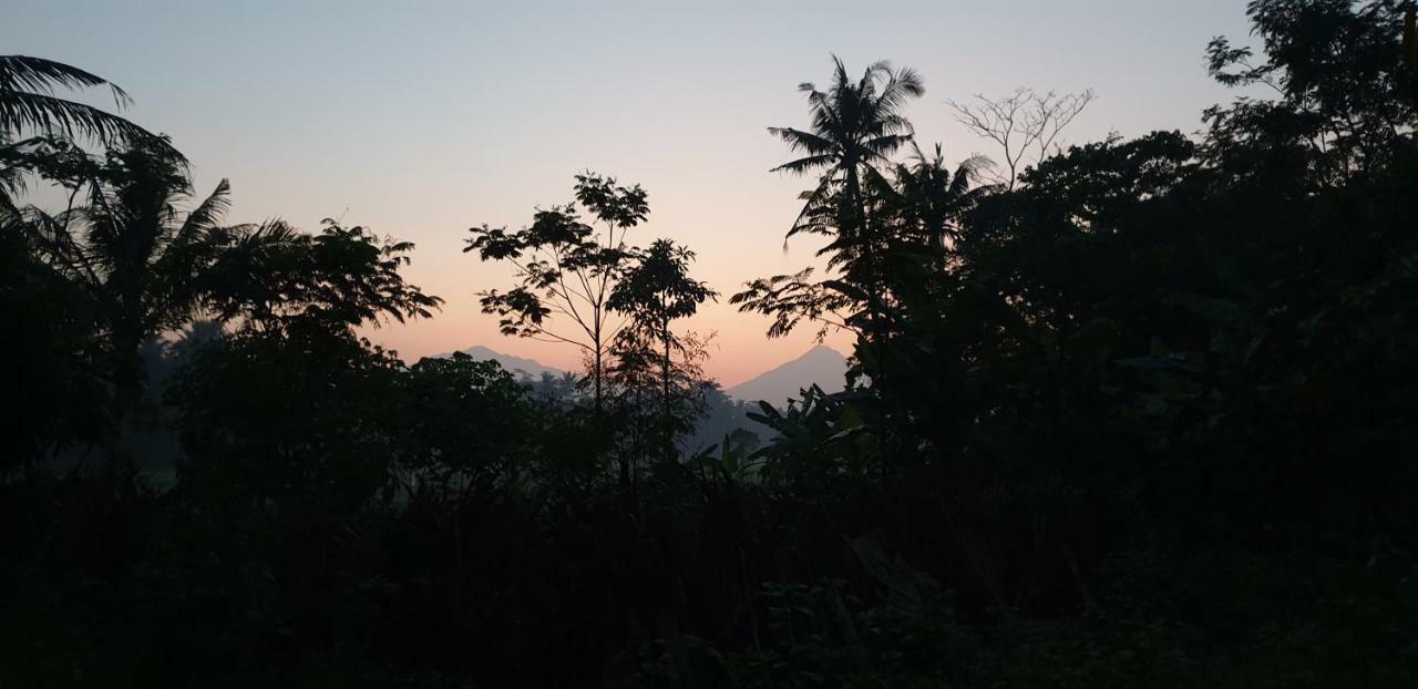 Anugrah Borobudur Magelang Zewnętrze zdjęcie